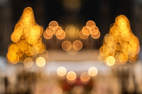 Erzdiözese Wien / Schönlaub